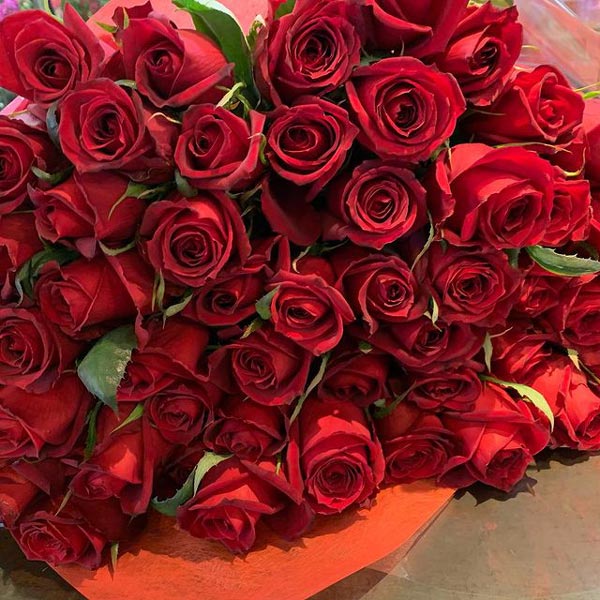50本の花束／赤バラ